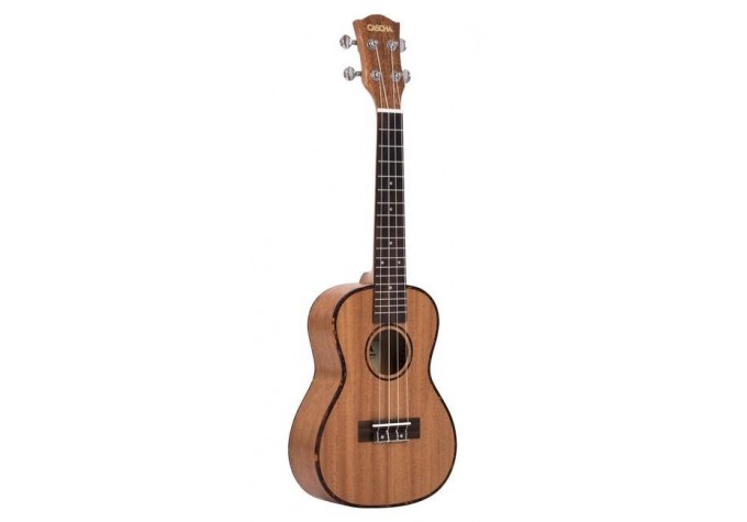 Cascha HH 2035 Premium Mahogany Concert Ukulele Set