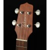 Takamine GUS1