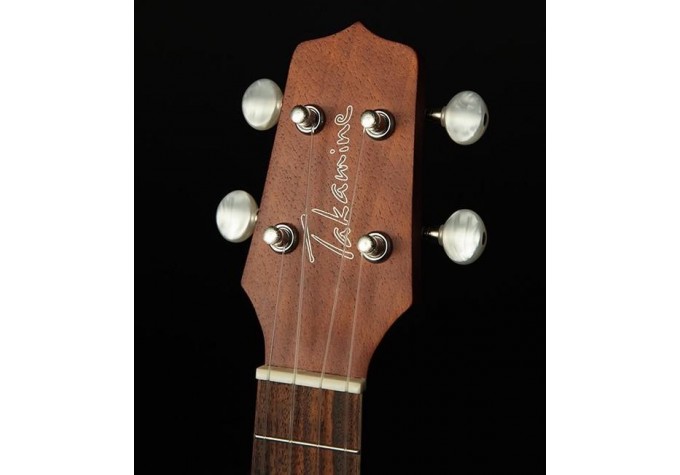 Takamine GUS1