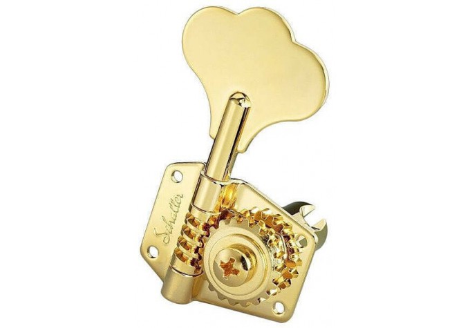 Schaller Bass BM Gold 4 L Set