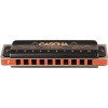 Cascha HH 2221 Professional Blues F Diatonická ústna harmonika
