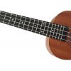 Aiersi SU026BG Tenor