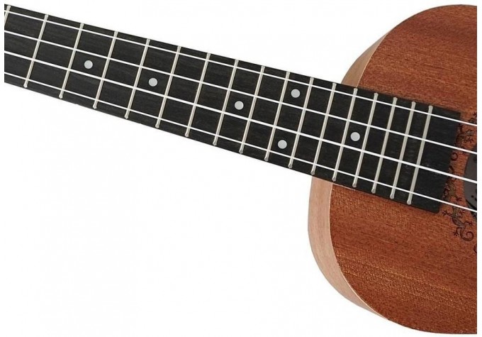 Aiersi SU026BG Tenor