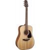 Takamine GD30-NAT