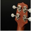 Takamine GUS1