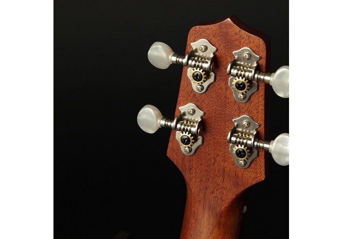 Takamine GUS1