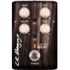 L.R. Baggs Align Delay