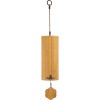 Shamann Summer: Am Chord Chimes