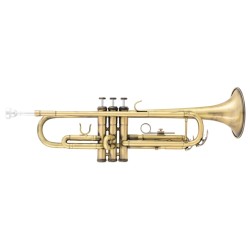 Latone LTR 800 Antique Brass Bb Trúbka
