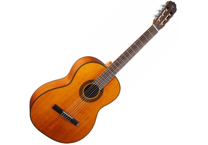 Takamine GC3 4/4 Natural