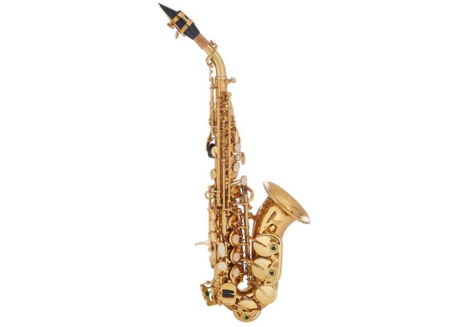 BACIO INSTRUMENTS BSS-100C