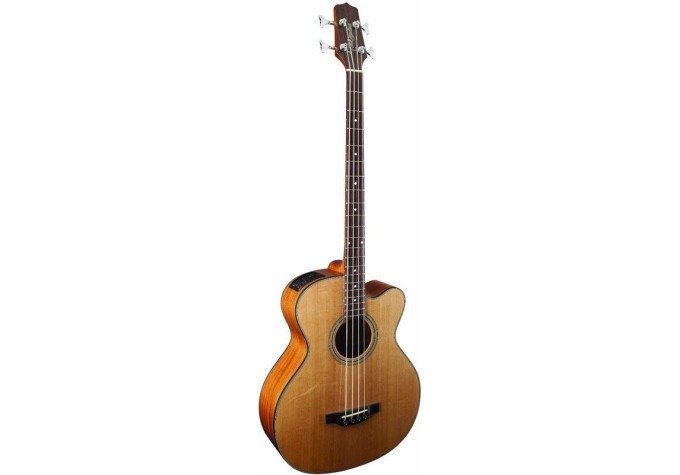 Takamine GB30CE Natural