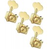 Schaller Bass BM Gold 4 L Set