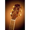 Takamine GN71CE Natural