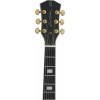 Sire Larry Carlton H7 Čierna