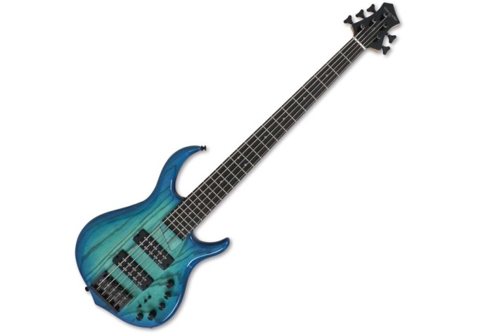 Sire Marcus Miller M5 Swamp Ash-5 2nd Gen Transparent Blue