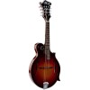 SX SMF860 Cherry Sunburst