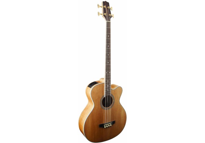 Takamine GB72CE Natural