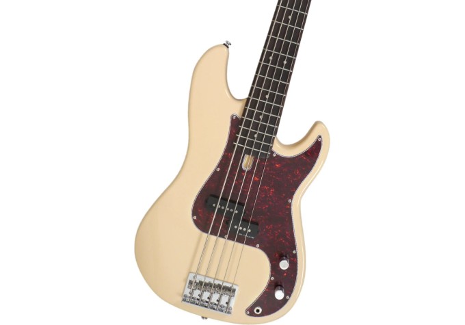 Sire Marcus Miller P5R Alder-5