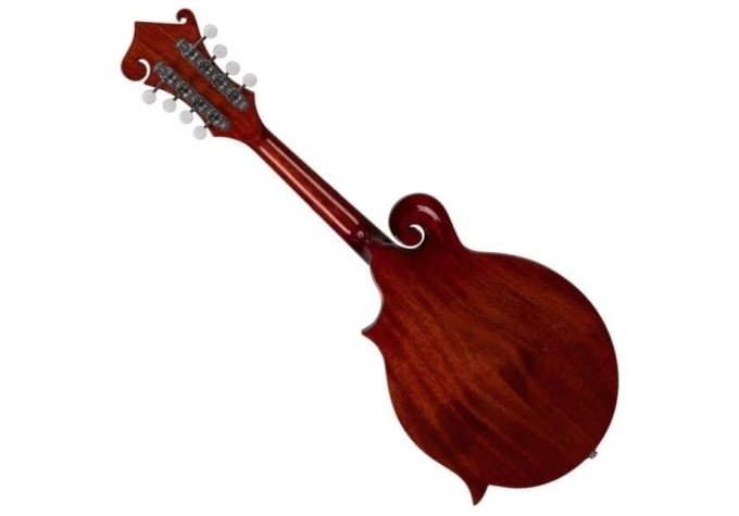 SX SMF860 Cherry Sunburst