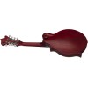 SX SMF840 Cherry Sunburst