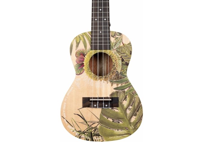 Cascha Concert Ukulele Art Series Koncertné ukulele