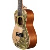 Cascha Concert Ukulele Art Series Koncertné ukulele