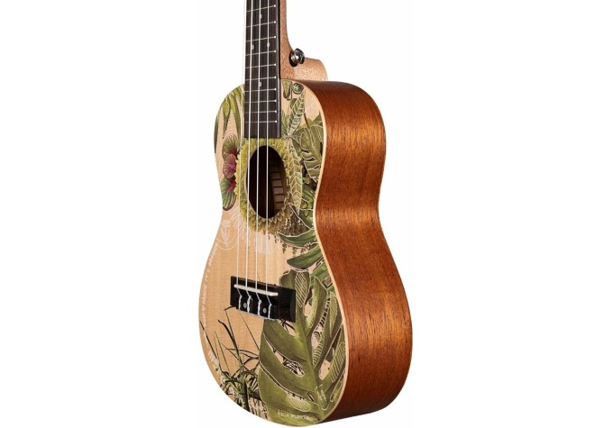 Cascha Concert Ukulele Art Series Koncertné ukulele