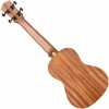 Cascha Concert Ukulele Art Series Koncertné ukulele