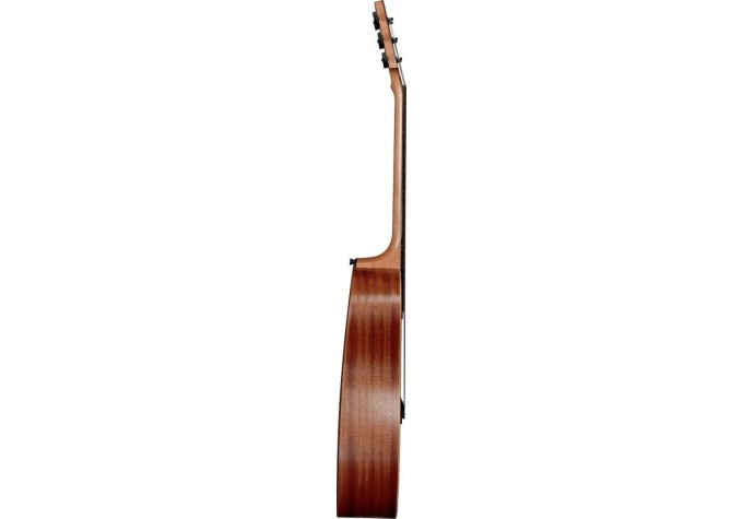 LAG Tramontane T70DC Natural Satin