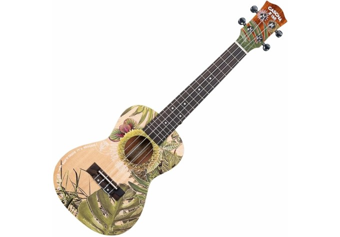 Cascha Concert Ukulele Art Series Koncertné ukulele