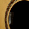 L.R. Baggs HiFi Duet Snímač pre akustickú gitaru