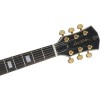Sire Larry Carlton H7V