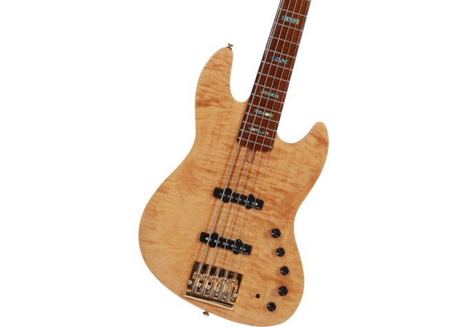 Sire Marcus Miller V10 DX-5