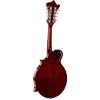 SX SMF860 Cherry Sunburst