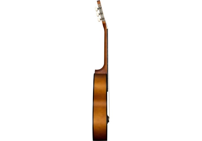 Cascha HH 2351 Student Series 3/4 klasická gitara pre dieťa