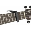 Cascha Capo for Ukulele
