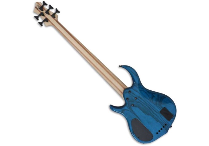Sire Marcus Miller M5 Swamp Ash-5 2nd Gen Transparent Blue