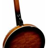 SX BJ454VS Vintage Sunburst