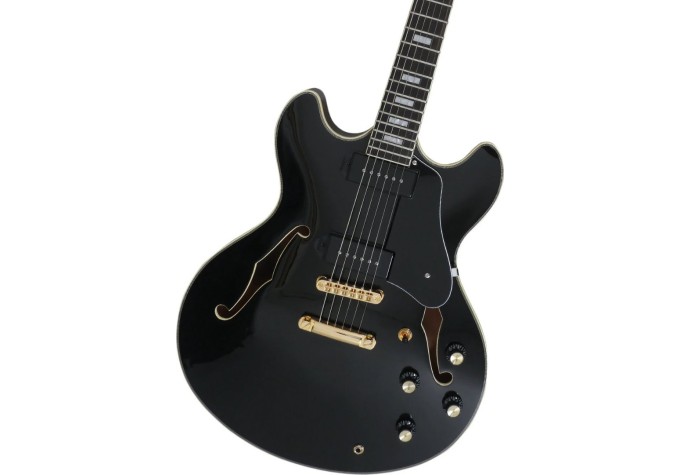 Sire Larry Carlton H7V