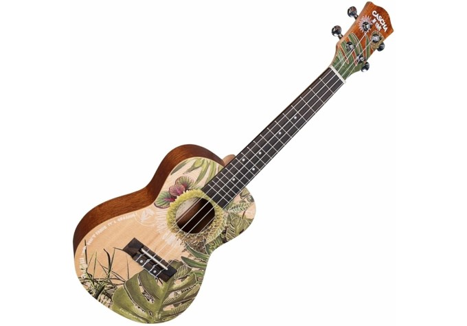 Cascha Concert Ukulele Art Series Koncertné ukulele