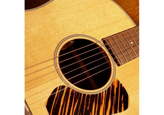 L.R. Baggs EAS-VTC-N