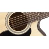 Takamine GD30CE Natural