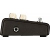L.R. Baggs Align Delay