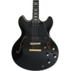 Sire Larry Carlton H7V