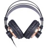 Lewitz HP890