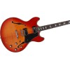 Sire Larry Carlton H7