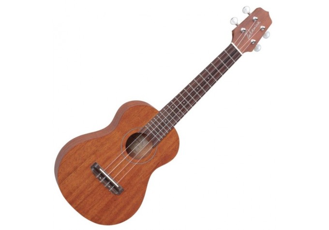 Takamine GUS1